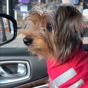 Meet your Posher, Roberto